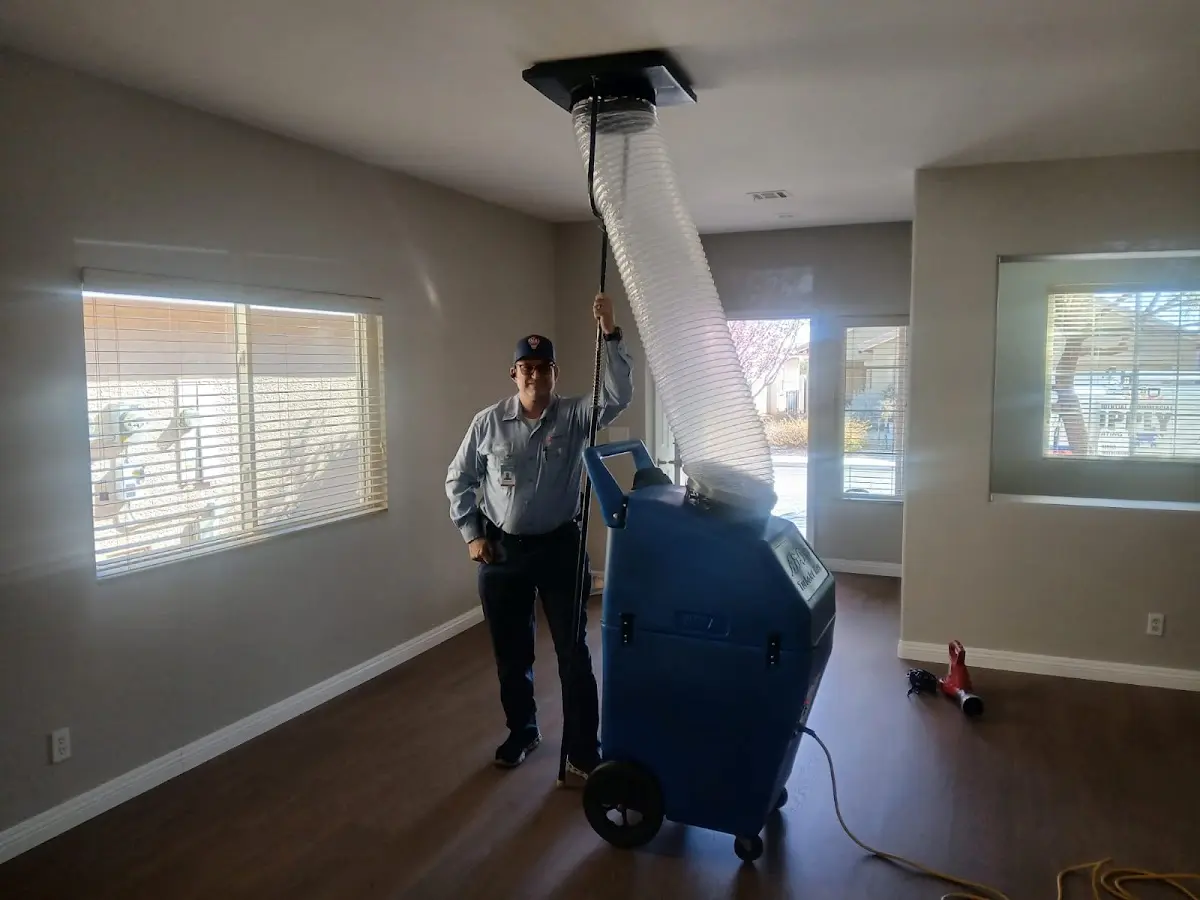 Professional Dryer Vent Cleaning work inside a Iona home